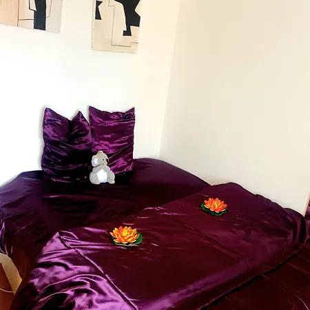 A Erbalunga Face A La Apartment *
